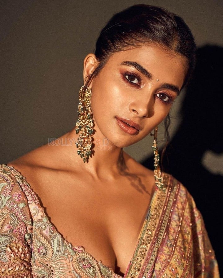 Ethereal Pooja Hegde in a Multi Coloured Saree with an Embroidered Blouse Photos 01