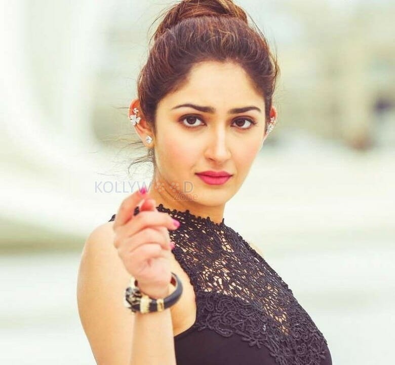 Ghajinikanth Heroine Sayesha Saigal Photos