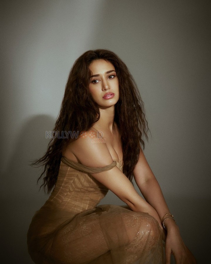 Glam Disha Patani in a Brown Nude Corset Gown Photos 04