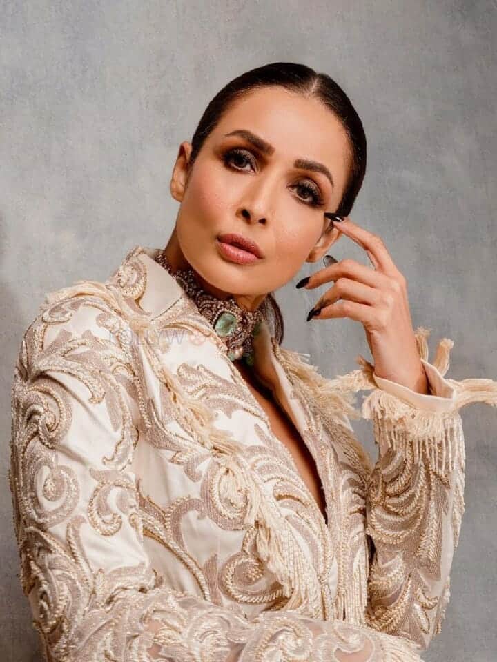 Glamorous Malaika Arora Stylish Pictures 03