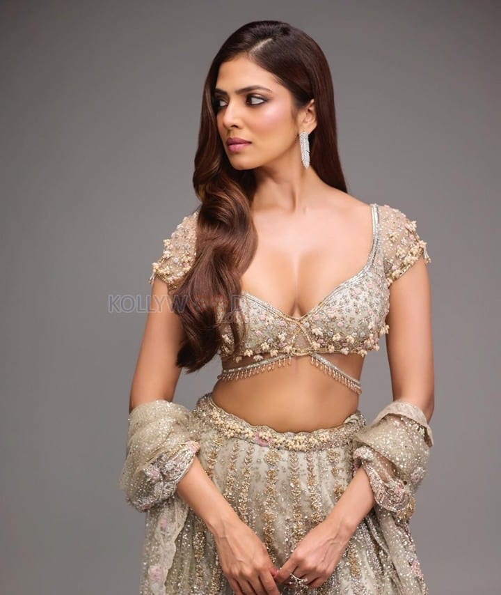 Glamorous and Gorgeous Malavika Mohanan in a Traditional Lehenga Photos 08