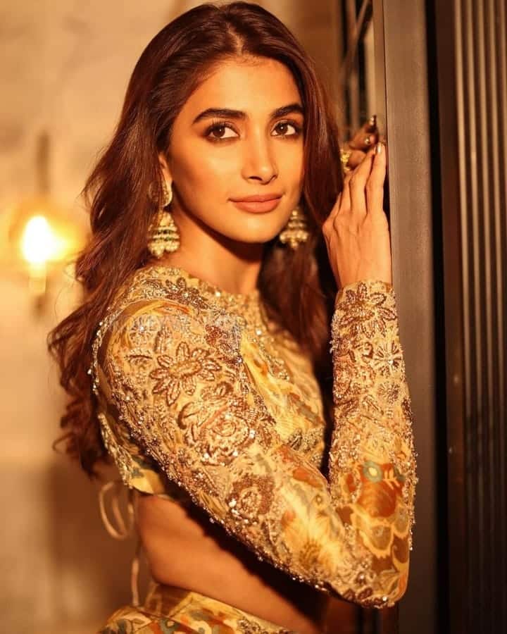 Golden Beauty Pooja Hegde Pictures 01