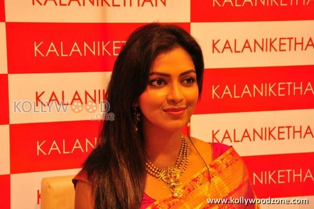 Gorgeous Amala Paul Saree Photos