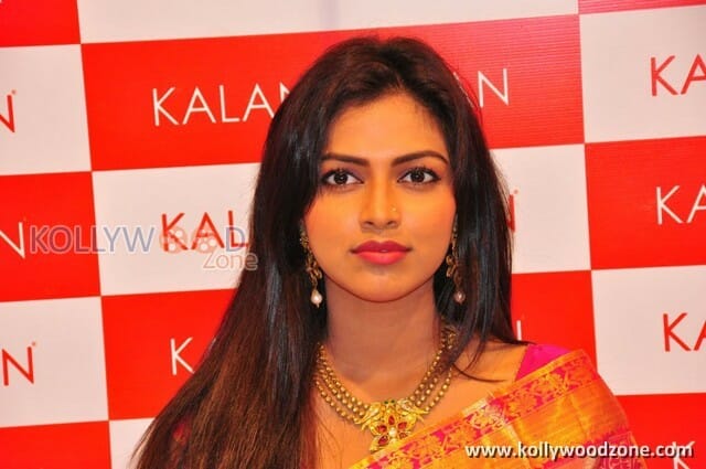 Gorgeous Amala Paul Saree Photos