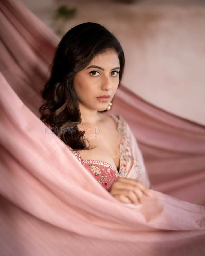 Gorgeous Anjali in a Light Pink Saree Pictures 02