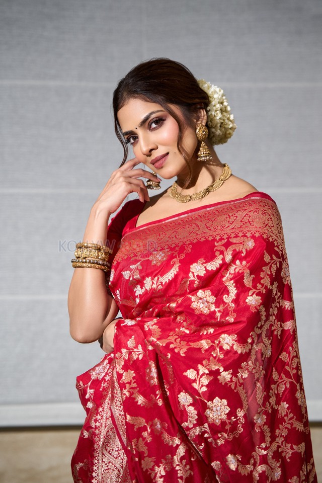 Gorgeous Malavika Mohanan in a Red Silk Saree Photo 01