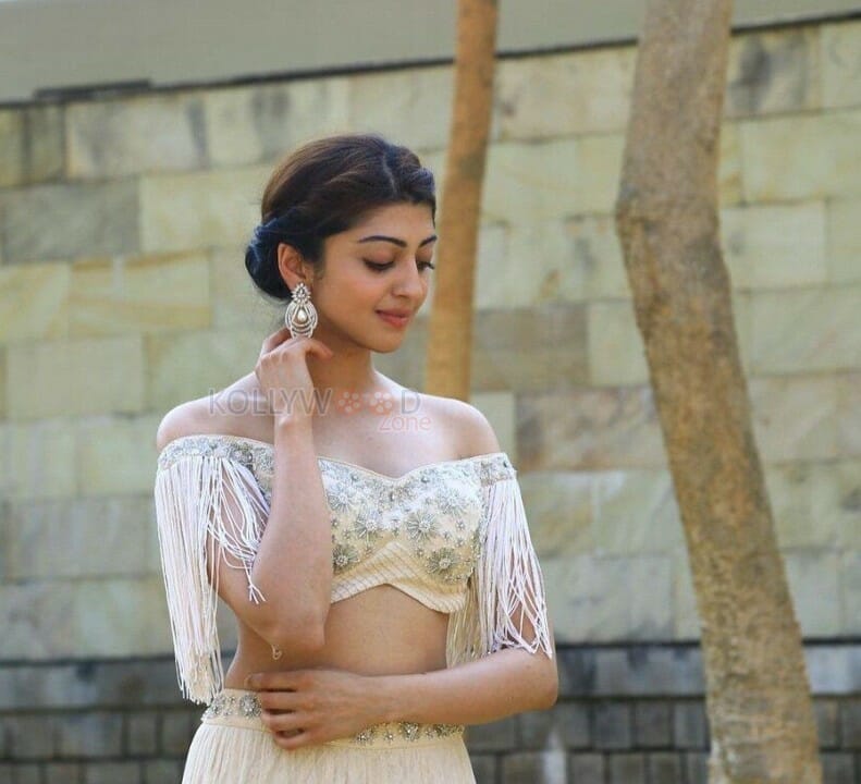 Gorgeous Pranitha Subash Photos