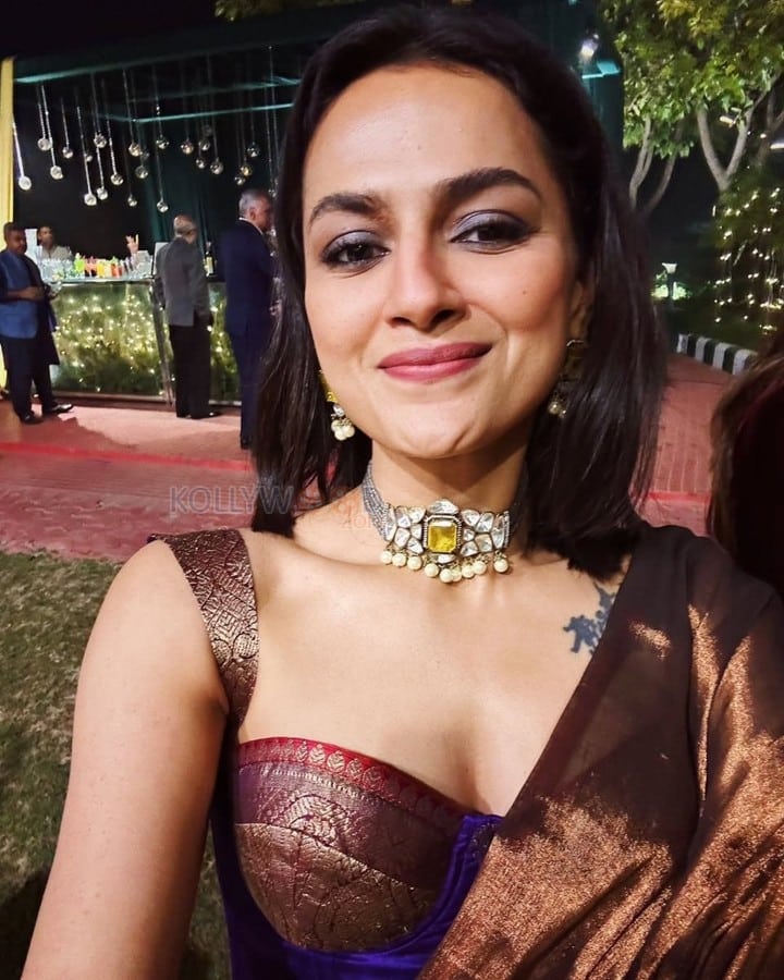 Gorgeous Shraddha Srinath in a Shiny Brown Saree with a Red Saree Photos 01