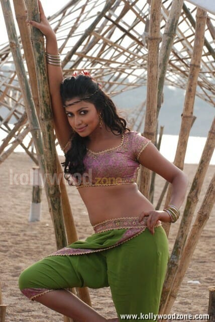 Hot Amala Paul Pictures In Vetta Movie