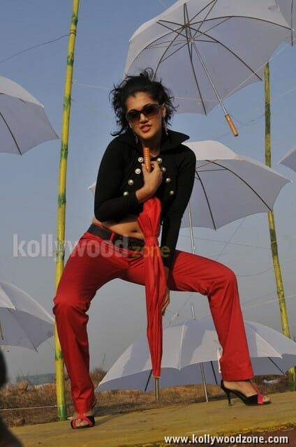 Hot And Sexy Tapsee Spicy Pictures