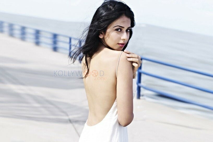 Hot And Spicy Rakul Preet Singh Pictures