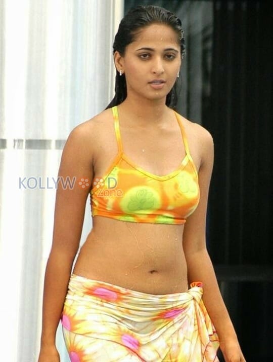 Hot Anushka Swimsuit Pictures