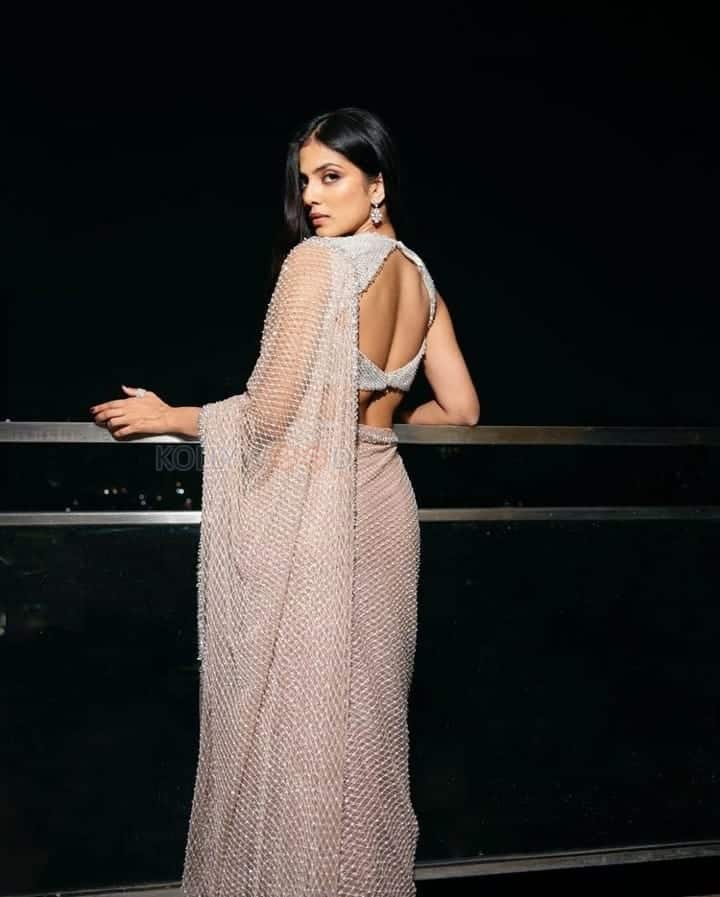 Hot Malavika Mohanan in a Transparent Embroidered Sequence Saree Photos 04