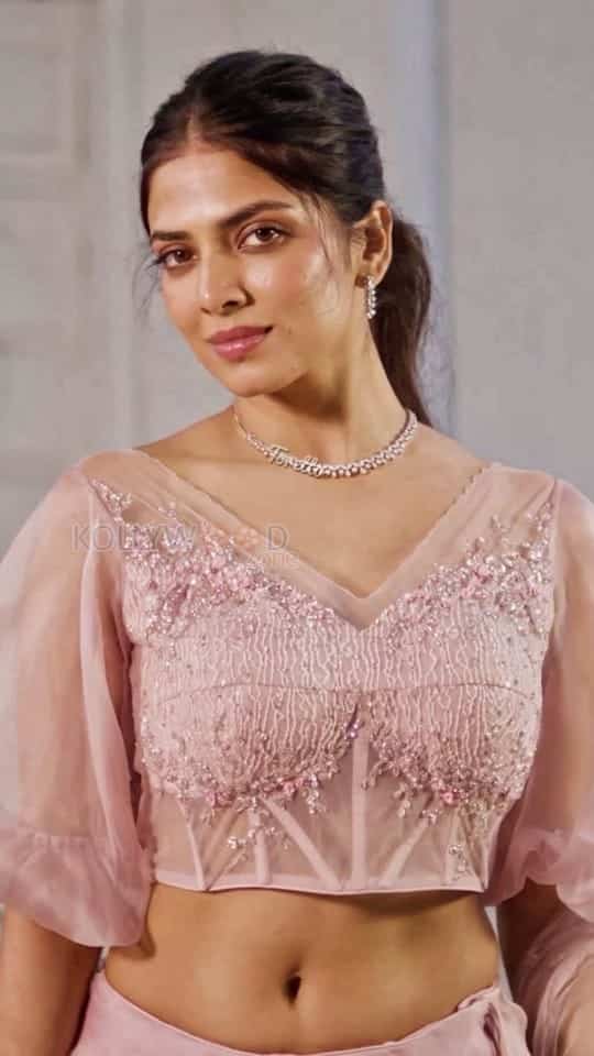 Hot Mallu Beauty Malavika Mohanan in a Pink Lehenga Set Pictures 02