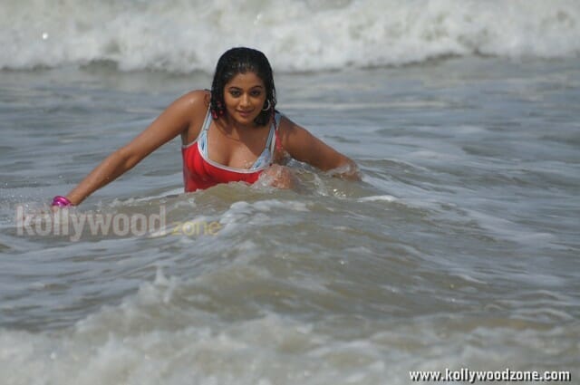 Hot Priyamani Spicy Photos