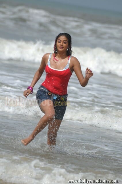 Hot Priyamani Spicy Photos