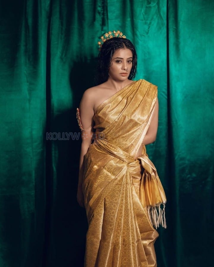 Hot Priyamani in a Gold Saree without a Blouse Photos 02