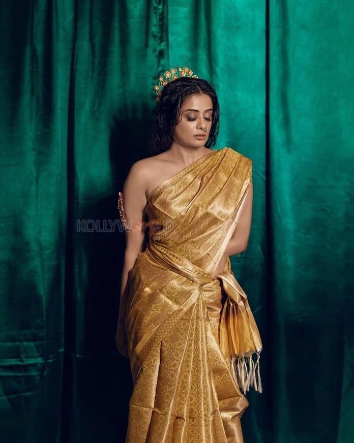 Hot Priyamani in a Gold Saree without a Blouse Photos 04