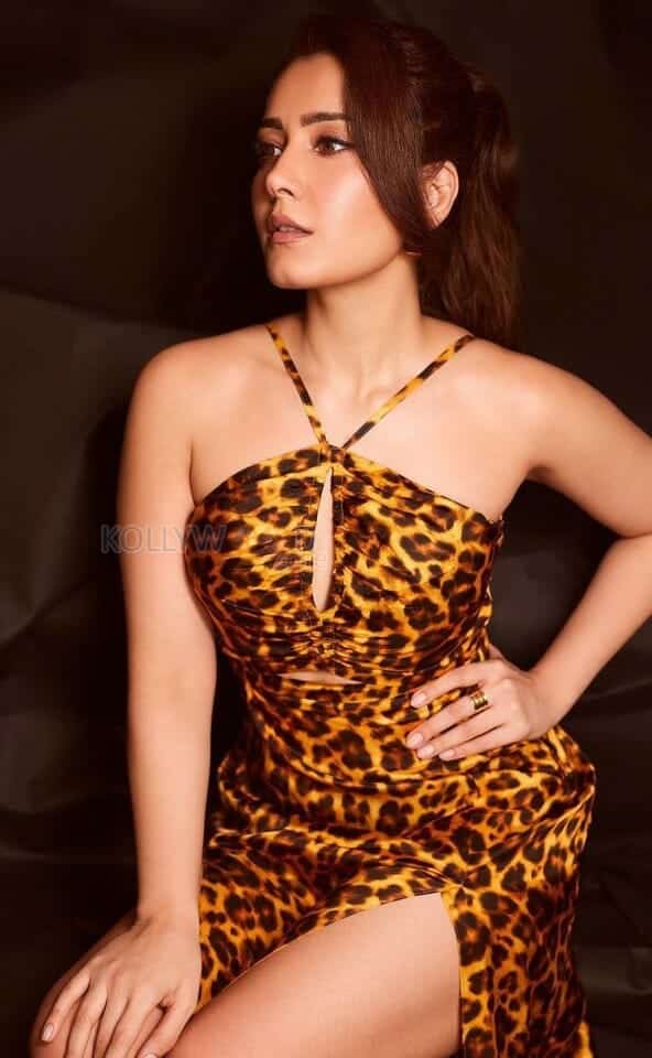 Hot Raashi Khanna in a Leopard Print Dress Photos 03