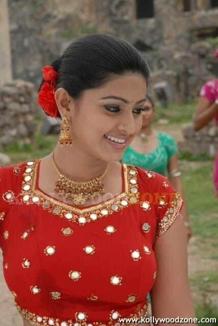 Hot Sneha Pics