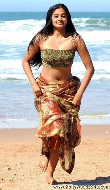 Hot Stills Of Priyamani