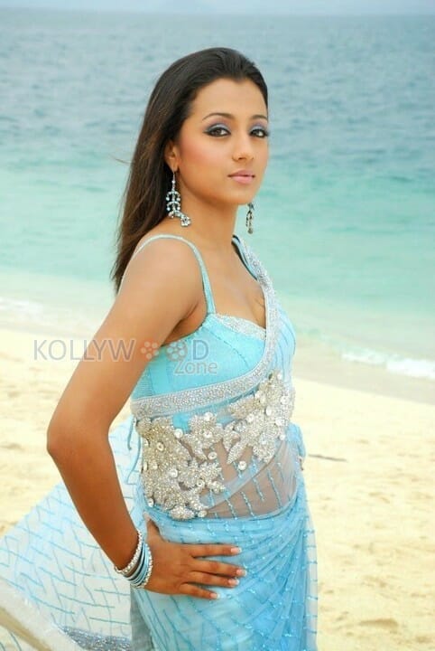 Hot Trisha Saree Cleavage Pictures