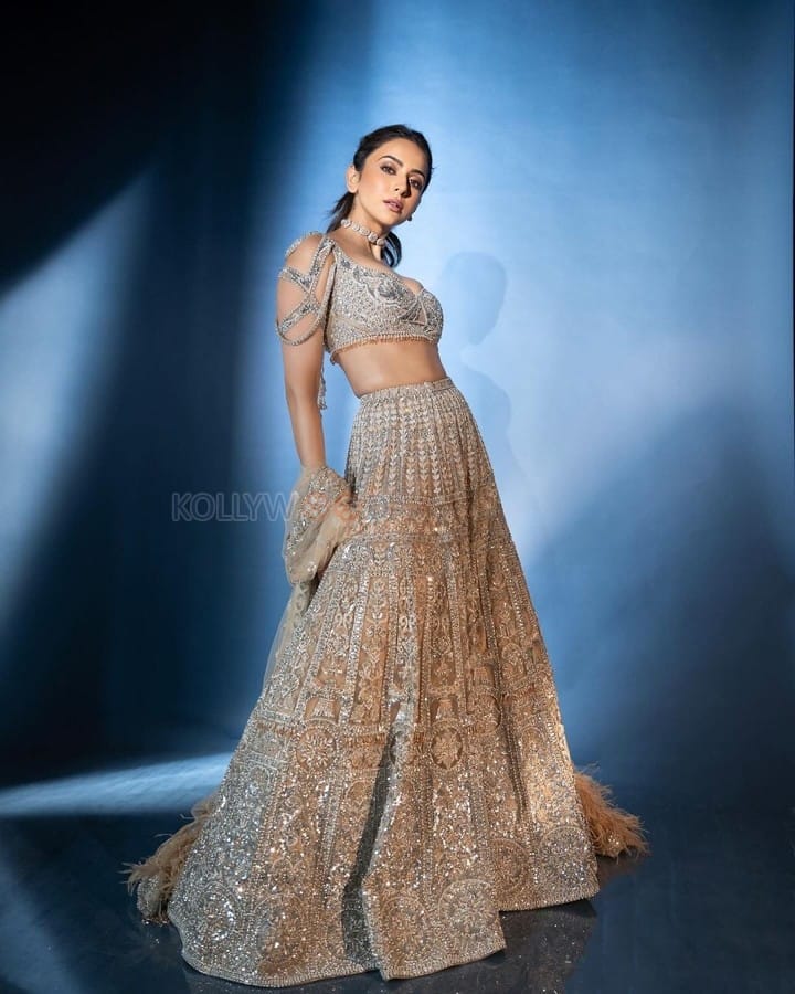 Indian 2 Heroine Rakul Preet Singh in a Silver Lehenga Photos 07