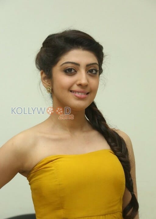 Kannada Actress Praneetha Photos