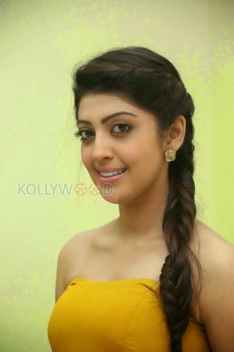 Kannada Actress Pranitha Photos