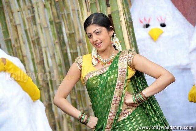 Kannada Actress Pranitha Pictures