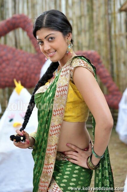 Kannada Actress Pranitha Pictures