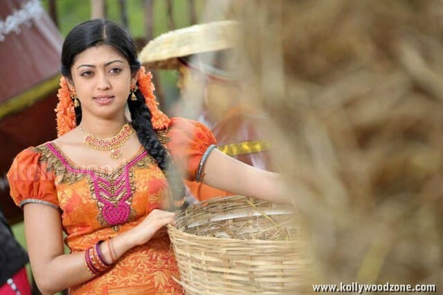 Kannada Actress Pranitha Pictures