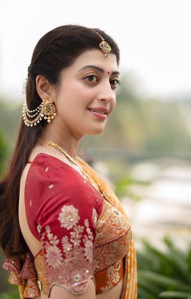 Kannada Actress Pranitha Subhash in a Beautiful Silk Saree Photos 01