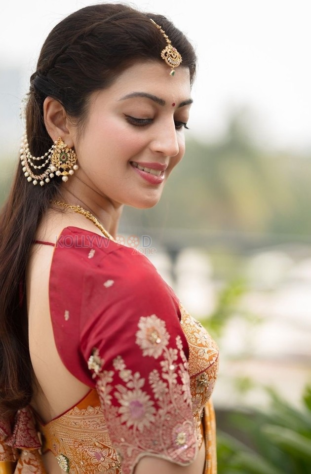 Kannada Actress Pranitha Subhash In A Beautiful Silk Saree Photos 02 ...