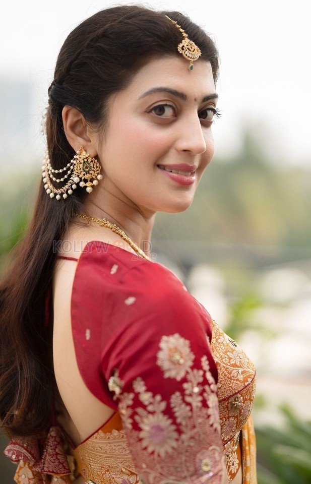 Kannada Actress Pranitha Subhash in a Beautiful Silk Saree Photos 03