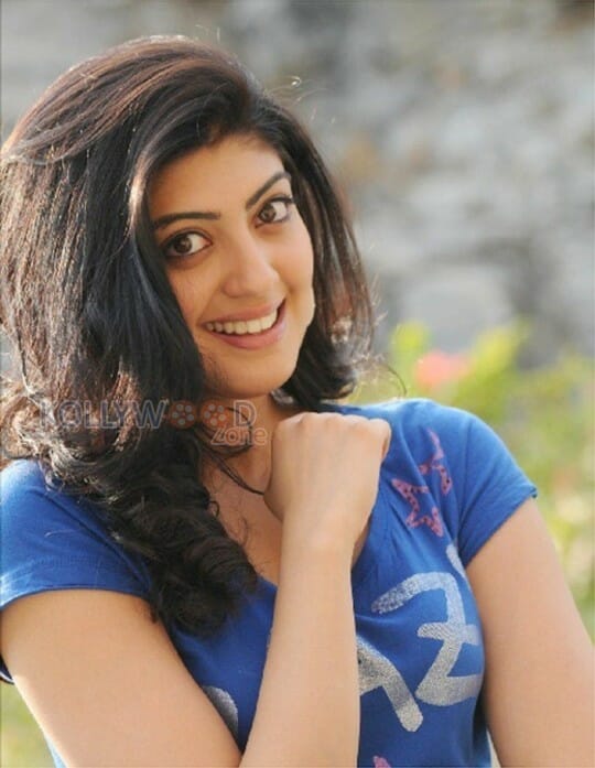 Kannada Beauty Pranitha Pictures