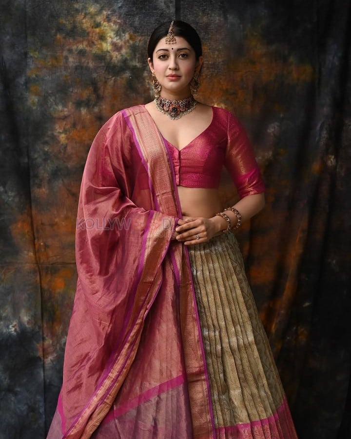 Kannada Beauty Pranitha Subhash in a Traditional Ghagra Pink Top and Pleated Skirt Pictures 05