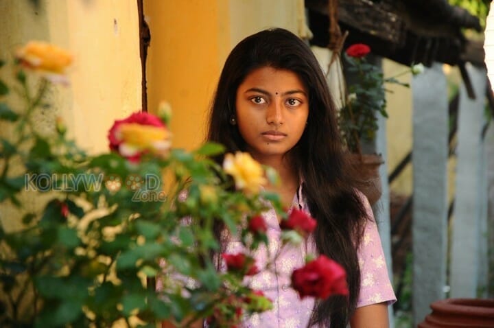 Kayal Movie Heroine Anandhi Pictures