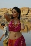 Kollywood Actress Sadha Dance Pictures