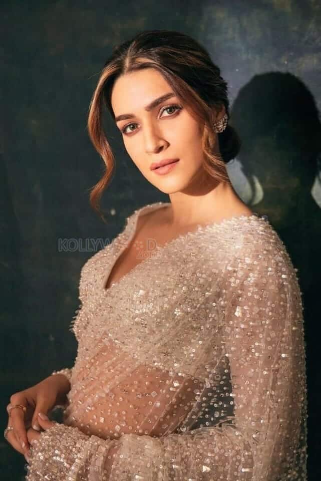 Kriti Sanon in a Transparent Glittering Saree Photos 02