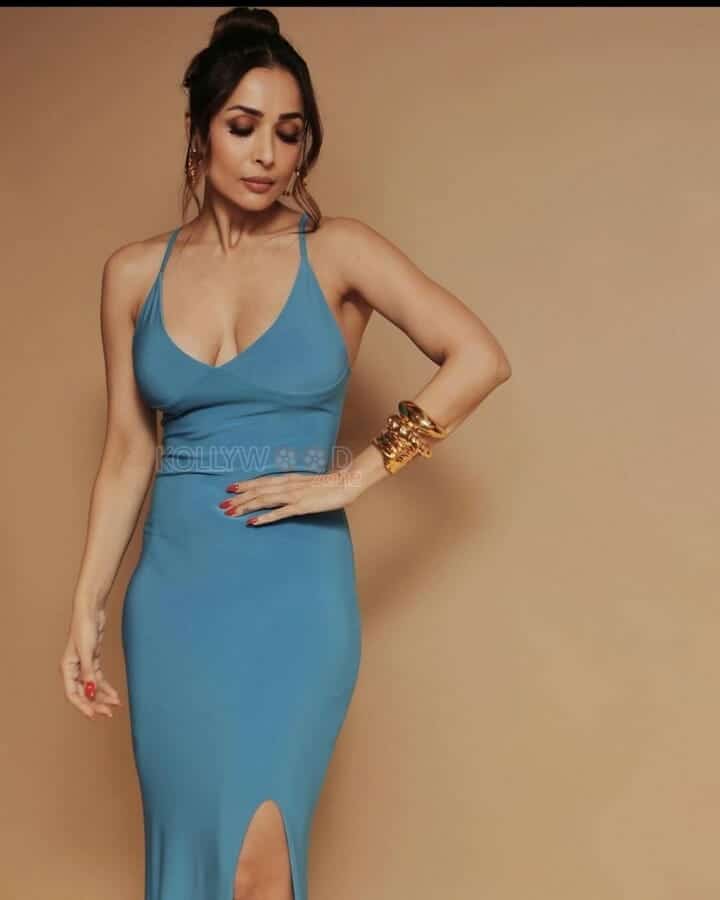 Malaika Arora Milf Hot Photos 01