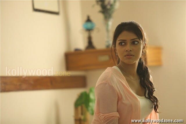 Mallu Babe Amala Paul In Run Baby Run Movie Pictures