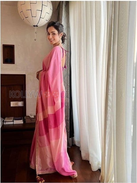 Mesmerizing Andrea Jeremiah in a Pink Saree with a Sleeveless Blouse Pictures 04
