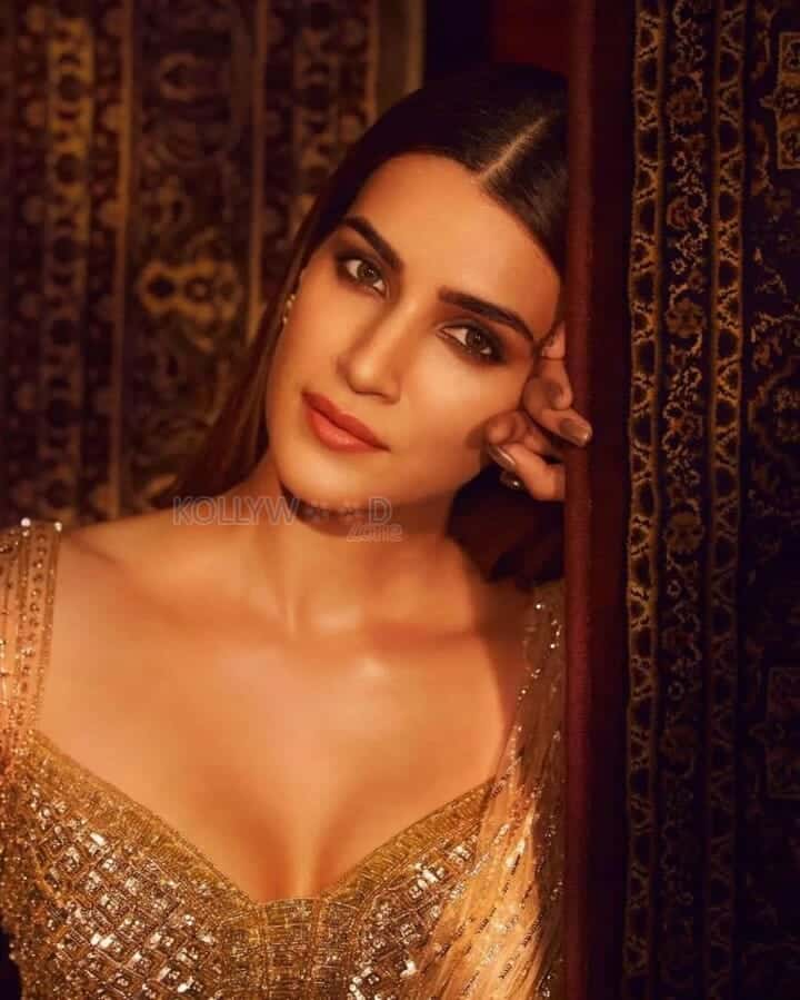 Mesmerizing Kriti Sanon Photos 03