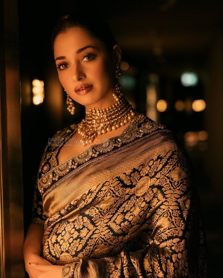 Most Sought After Actress Tamannaah Bhatia in a Traditional Silk Saree Photos 03