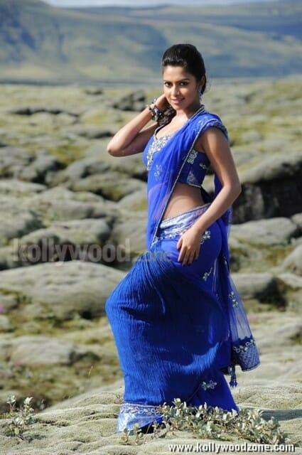 Nayak Heroine Amala Paul Hot Saree Photos