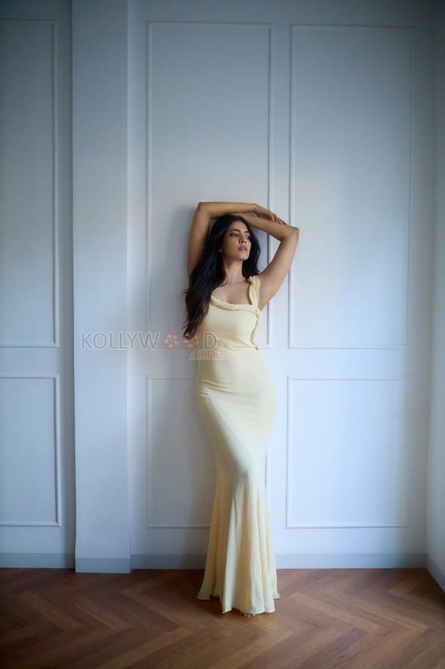 Passionate Malavika Mohanan in a Yellow Bodycon Dress Photos 04