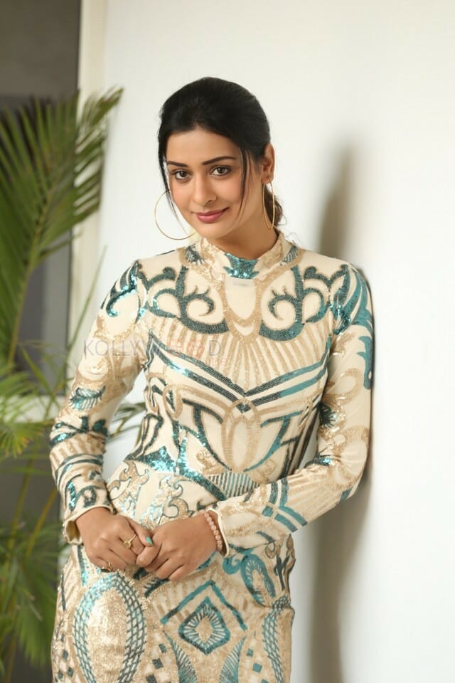 Payal Rajput At Disco Raja Press Meet Pictures