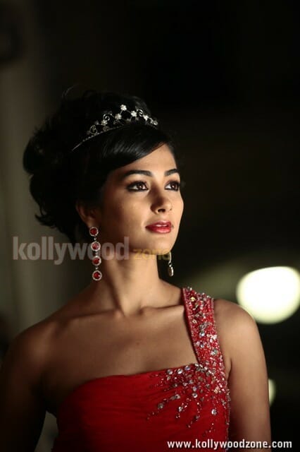 Pooja Hegde Mugamoodi Photos