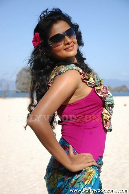 Priyamani Hot And Sexy Stills